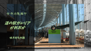 【無料車中泊スポットレビュー】京都府亀岡市|道の駅ガレリアかめおか