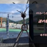 【無料車中泊スポットレビュー】神奈川県清川村|道の駅清川