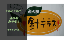 【無料車中泊スポットレビュー】奈良県奈良市｜道の駅針テラス
