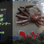 【無料車中泊スポットレビュー】京都府舞鶴市|道の駅舞鶴港とれとれセンター