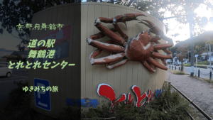 【無料車中泊スポットレビュー】京都府舞鶴市|道の駅舞鶴港とれとれセンター