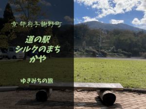 【無料車中泊スポットレビュー】京都府与謝野町|道の駅シルクのまち かや