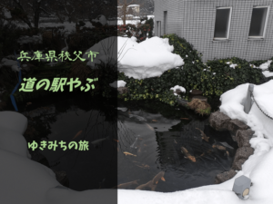 【無料車中泊スポットレビュー】兵庫県養父市|道の駅やぶ