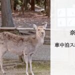 奈良市周辺の無料&格安車中泊スポットを5つ紹介