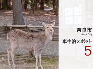 奈良市周辺の無料&格安車中泊スポットを5つ紹介