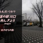 【無料車中泊スポットレビュー】埼玉県川口市|道の駅川口・あんぎょう