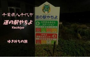 【無料車中泊スポットレビュー】千葉県八千代市|道の駅やちよ