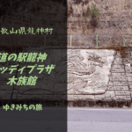【無料車中泊スポットレビュー】和歌山県田辺市|道の駅龍神ウッディプラザ木族館