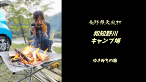 【格安車中泊スポットレビュー】南信州・長野県天龍村|和知野川キャンプ場