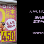 【無料車中泊スポットレビュー】北海道虻田郡|道の駅望羊中山