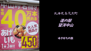【無料車中泊スポットレビュー】北海道虻田郡|道の駅望羊中山