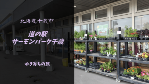 【無料車中泊スポットレビュー】北海道千歳市|道の駅サーモンパーク千歳