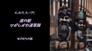 【無料車中泊スポットレビュー】北海道東川町|道の駅ひがしかわ道草館