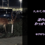【無料車中泊スポットレビュー】北海道稚内市|道の駅わっかない