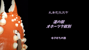 【無料車中泊スポットレビュー】北海道（道東）｜道の駅オホーツク紋別