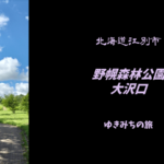 【無料車中泊スポットレビュー】北海道江別市|野幌森林公園 大沢口駐車場