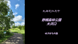 【無料車中泊スポットレビュー】北海道江別市|野幌森林公園 大沢口駐車場