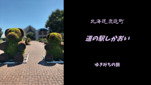 【無料車中泊スポットレビュー】北海道鹿追町｜道の駅しかおい
