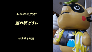 【無料車中泊スポットレビュー】山梨県道志村|道の駅どうし