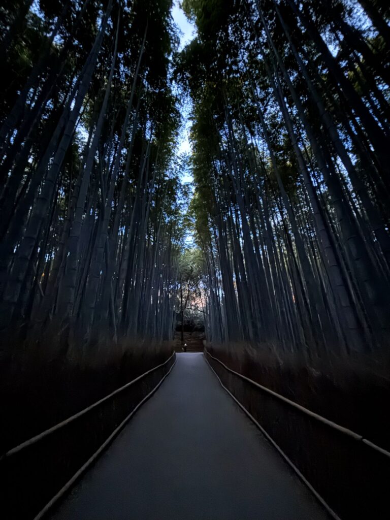 200円で嵐山観光がめっちゃ楽｜車中泊旅おすすめの裏技