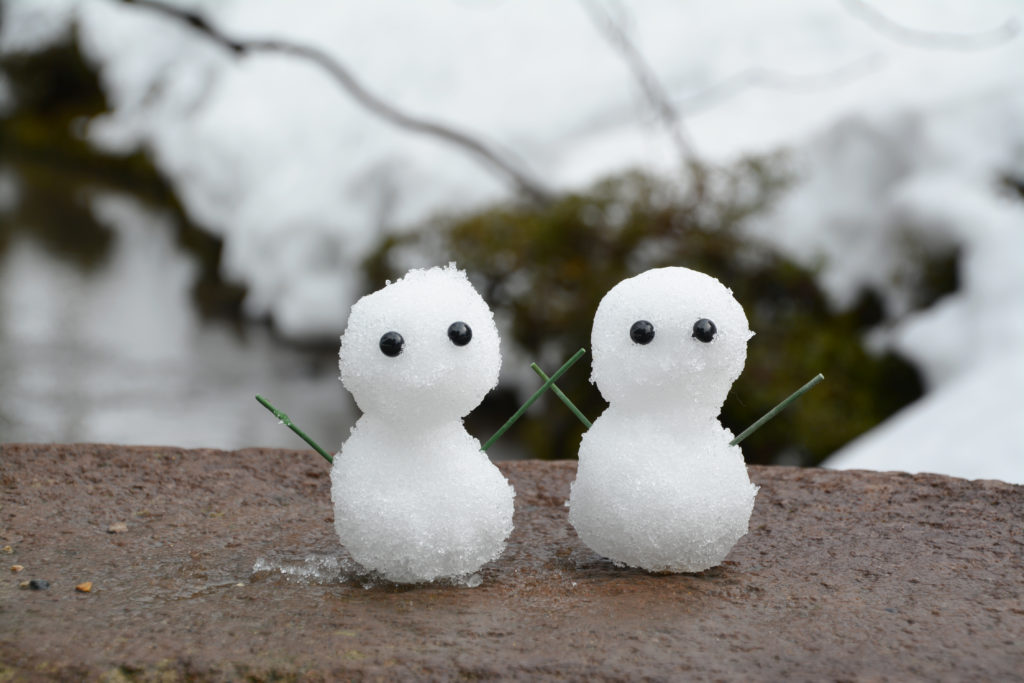 ゆきみち最初の一歩