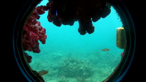 串本海中公園 海中展望塔