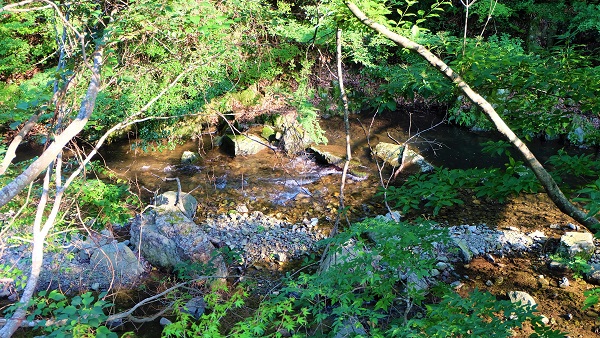 青紅葉狩り、夏の箕面滝をお手軽に【日本の滝百選】無料駐車場有