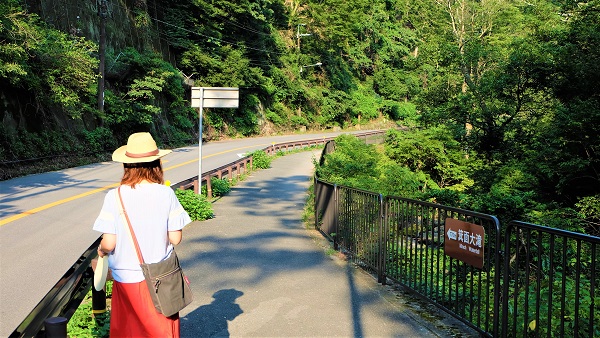 青紅葉狩り、夏の箕面滝をお手軽に【日本の滝百選】無料駐車場有