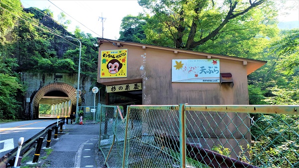 青紅葉狩り、夏の箕面滝をお手軽に【日本の滝百選】無料駐車場有