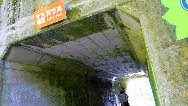 青紅葉狩り、夏の箕面滝をお手軽に【日本の滝百選】無料駐車場有