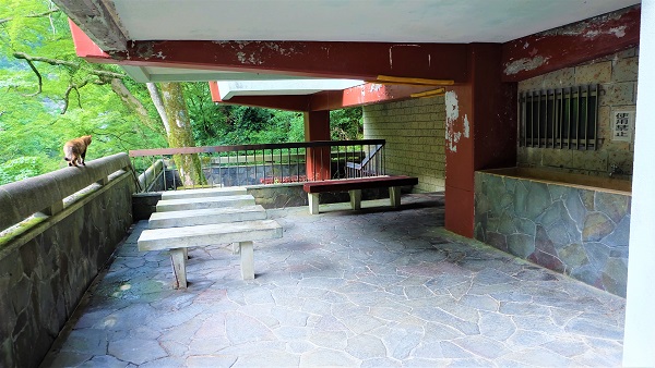 青紅葉狩り、夏の箕面滝をお手軽に【日本の滝百選】無料駐車場有