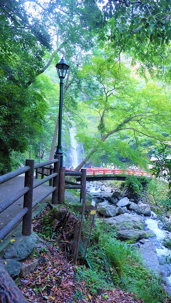 青紅葉狩り、夏の箕面滝をお手軽に【日本の滝百選】無料駐車場有