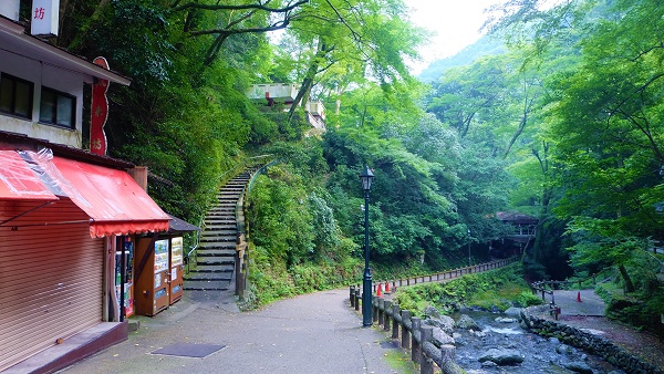青紅葉狩り、夏の箕面滝をお手軽に【日本の滝百選】無料駐車場有
