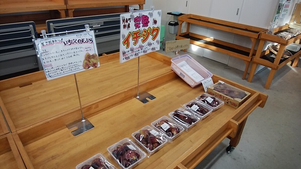 【大阪府】道の駅かなん イチジク