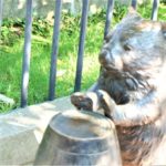 【入園無料】五月山動物園でウォンバットに会おう&ハイキングも