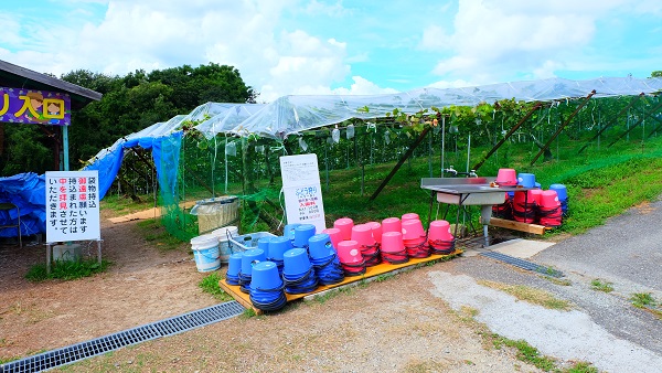 みとろ観光果樹園