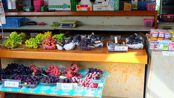 みとろ観光果樹園