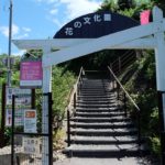 花に囲まれる休日。花の文化園の見どころ・アクセスなどをご紹介【大阪府】