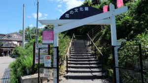 花に囲まれる休日。花の文化園の見どころ・アクセスなどをご紹介【大阪府】