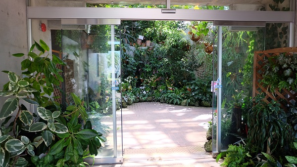 花の文化園　大温室