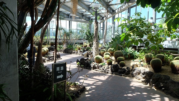 花の文化園　大温室