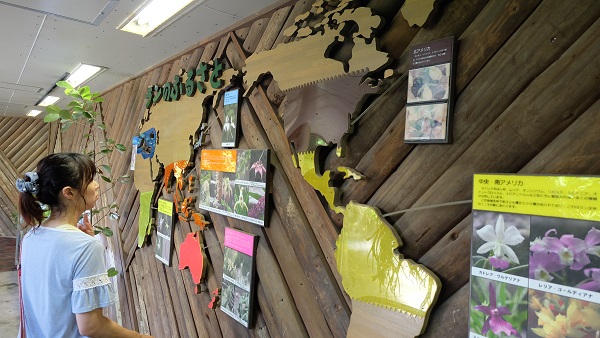 花の文化園　大温室