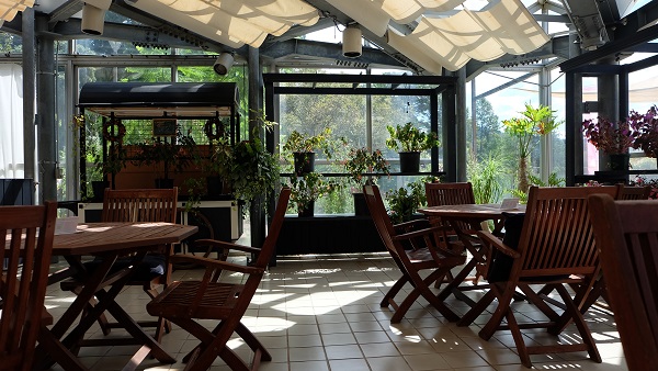 花の文化園　大温室