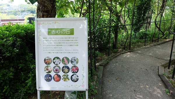 花の文化園　香りの丘