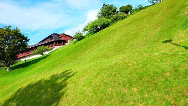 みとろフルーツパーク 芝すべり