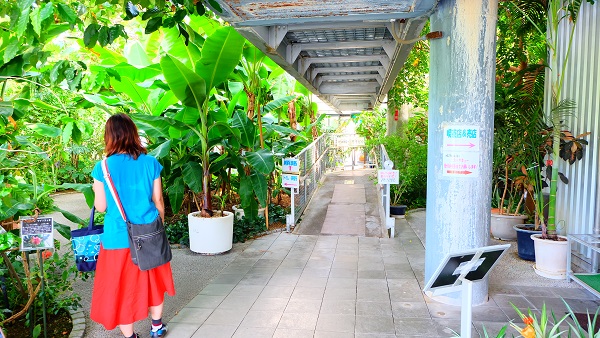 みとろフルーツパーク 温室