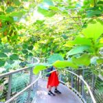 みとろ(見土呂)フルーツパークで温室見学・展望台と芝滑り【無料】