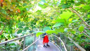 みとろ(見土呂)フルーツパークで温室見学・展望台と芝滑り【無料】