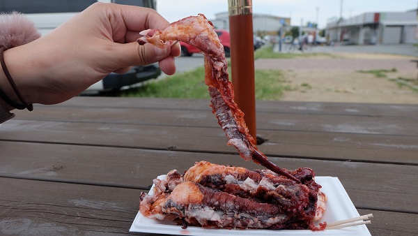 【淡路島】道の駅東浦ターミナルパーク　たこ姿焼き