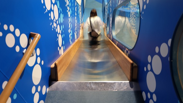 【淡路島】うずの丘大鳴門橋記念館　うずしおスライダー